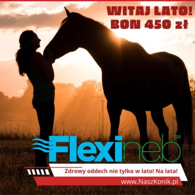 Flexineb® E3 nebulizator dla konia - kompletny system