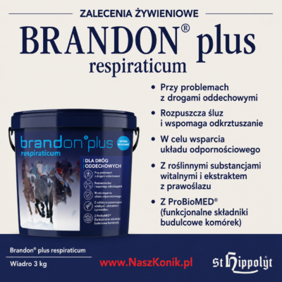 Brandon 3kg opis