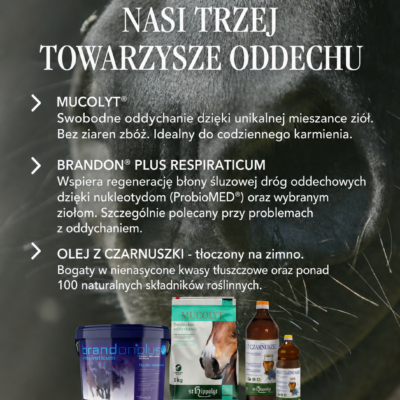opis produktów St. Hippolyt PL