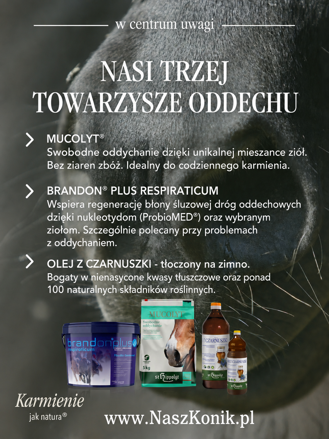 Brandon Respiraticum 3kg od St. Hippolyt – ziołowy suplement wspierający układ oddechowy koni RAO Astma - obrazek 3