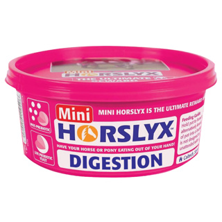 Lizawka dla konia Horslyx PRO DIGEST Digestion na problemy żołądkowe