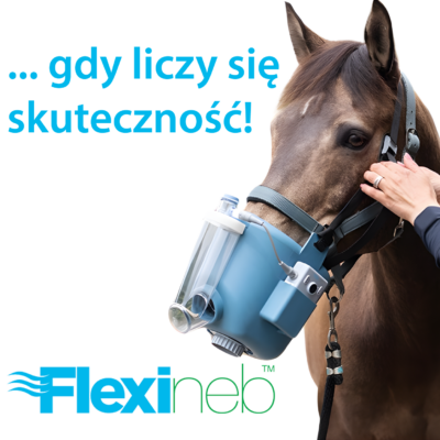 Flexineb® E3 SMALL jedyny na świecie nebulizator dla konia z komorą pośrednią - kompletny zestaw z małą maską