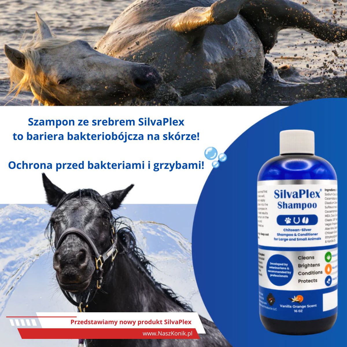 SilvaPlex Pet Shampoo & Conditioner - szampon i odżywka ze srebrem dla zwierząt, szampon dla koni (gruda, kopyta , uszkodzenia skóry) (32 oz) 946,35 ml - obrazek 2