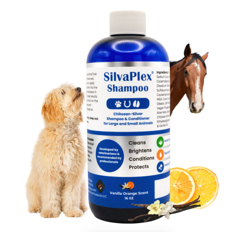 SilvaPlex Pet Shampoo & Conditioner - szampon i odżywka ze srebrem dla zwierząt, szampon dla koni (32 oz) 946,35 ml