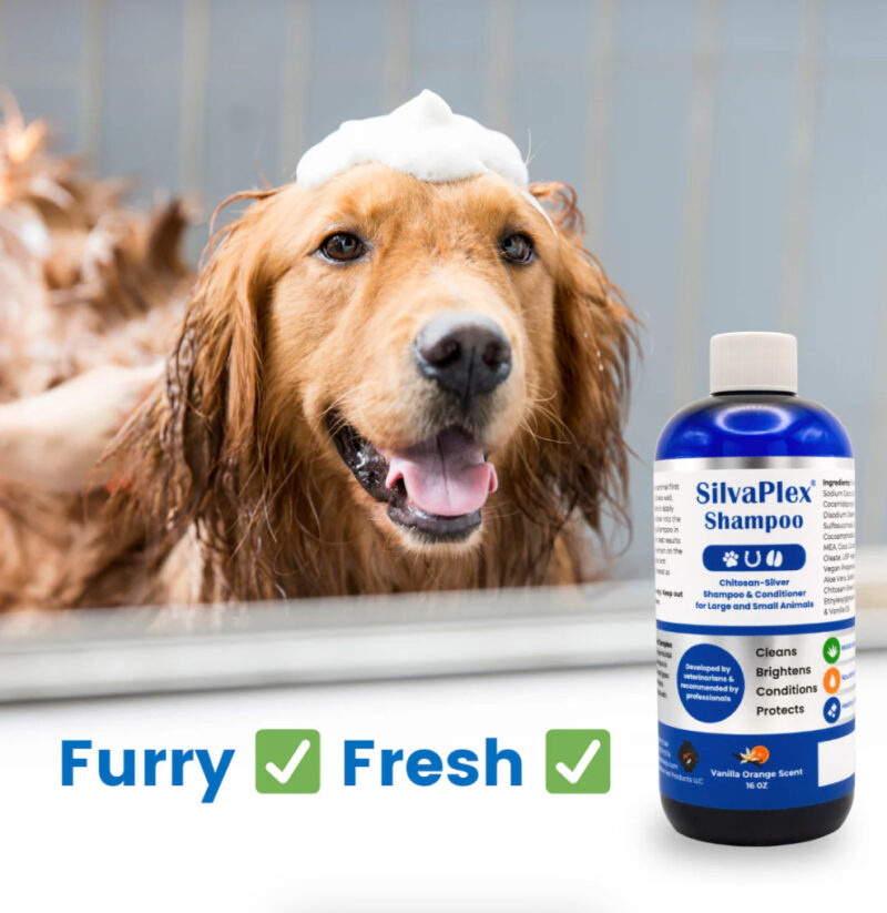 SilvaPlex Pet Shampoo & Conditioner - szampon i odżywka ze srebrem dla zwierząt, szampon dla koni (32 oz) 946,35 ml - obrazek 5