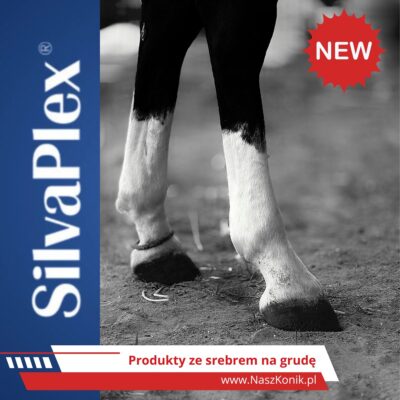 Zestaw SilvaPlex ze srebrem na grudę (na kopyta i pęciny)