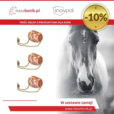 Zestaw lizawki dla konia – sól himalajska dla konia 2,5 kg (x3)