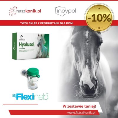 Zestaw kwas hialuronowy dla koni HYALUSOL + pojemnik zielony Flexineb