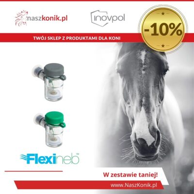 Zestaw dwa pojemniki Flexineb (zielony + standardowy szary)