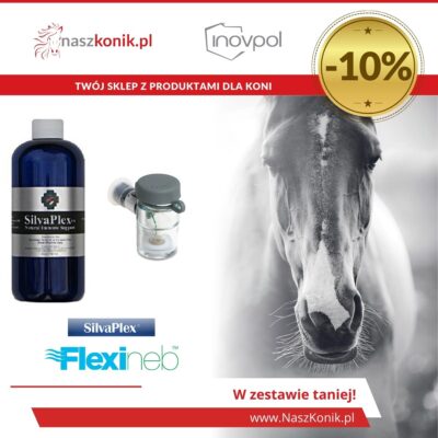 Zestaw duża butelka 473 ml SilvaPlex do nebulizacji + pojemnik standardowy szary Flexineb