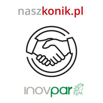 INOVPAR generator wynajem na 10 dni