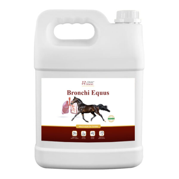 Over Horse Bronchi Equus – Ziołowy syrop na kaszel, drogi oddechowe i odporność dla koni, RAO, alergie