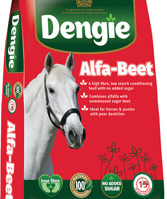 Dengie Alfa-Beet 20kg – pasza dla koni lucerna z wysłodkami na masę i mięśnie bez melasy