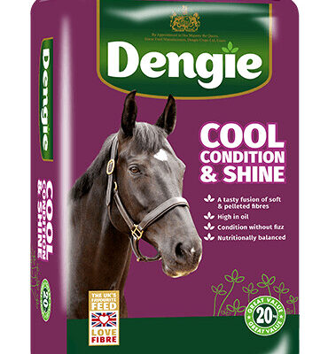 Dengie Cool Condition & Shine 20kg – miękka sieczka dla koni na masę i lśniącą sierść