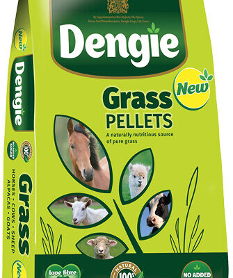 Dengie Grass Pellets 20kg – trawokulki dla koni na masę i trawienie