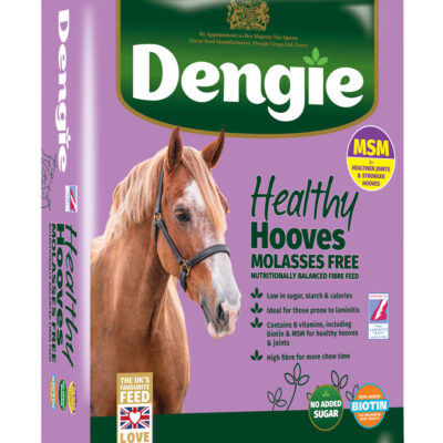 Dengie Healthy Hooves Molasses Free z MSM 20kg - sieczka dla koni na kopyta, bez melasy
