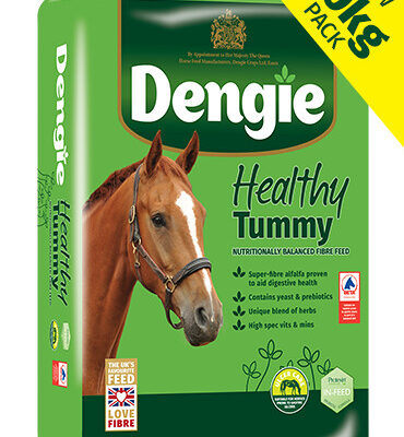 Dengie Healthy Tummy 20kg – sieczka dla koni na wrzody i trawienie bez melasy