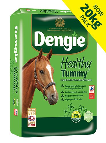 Dengie Healthy Tummy 20kg – sieczka dla koni na wrzody i trawienie bez melasy