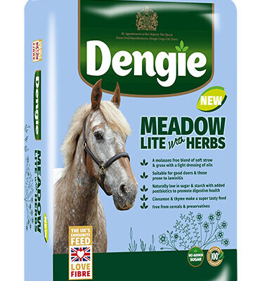Dengie Meadow Lite with Herbs 15kg – sieczka dla koni z nadwagą i kuców na odchudzanie i ochwat