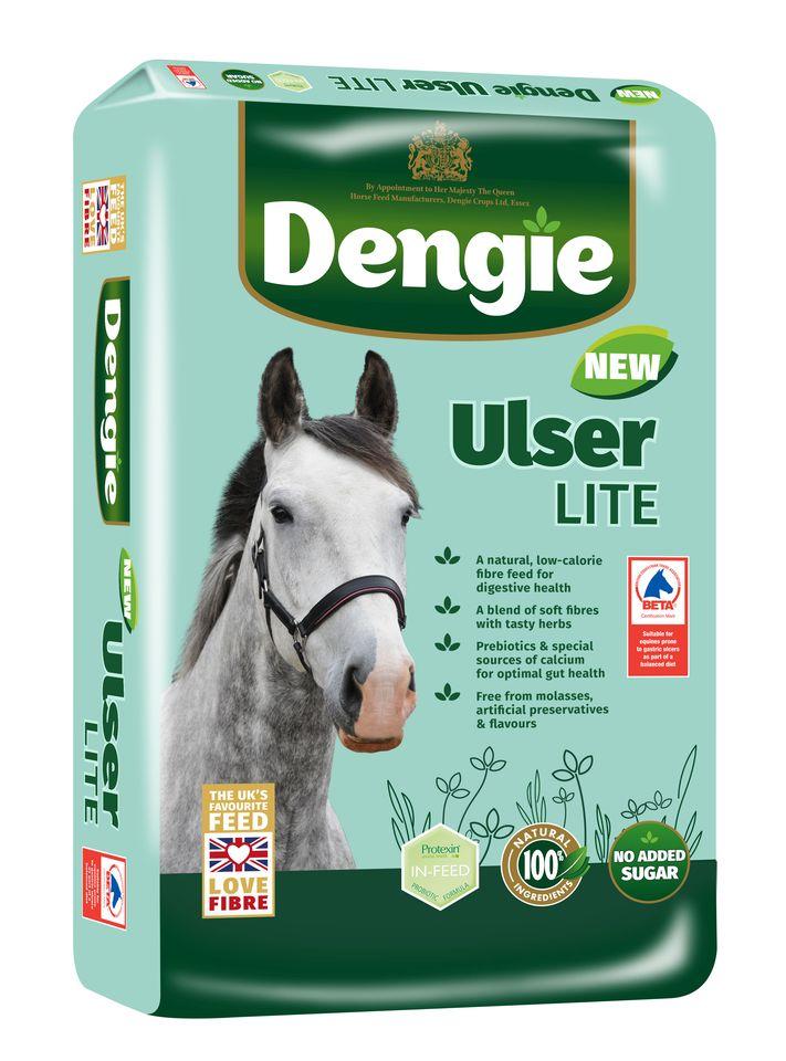 Dengie Ulser Lite 20kg – sieczka dla koni na wrzody i problemy trawienne, żywienie koni
