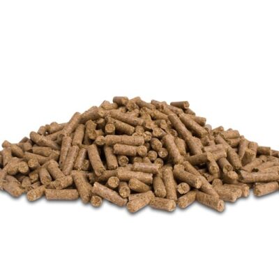 Dodson & Horrell Build Up Cubes 20 kg - pasza dla koni na mięśnie i przyrost masy