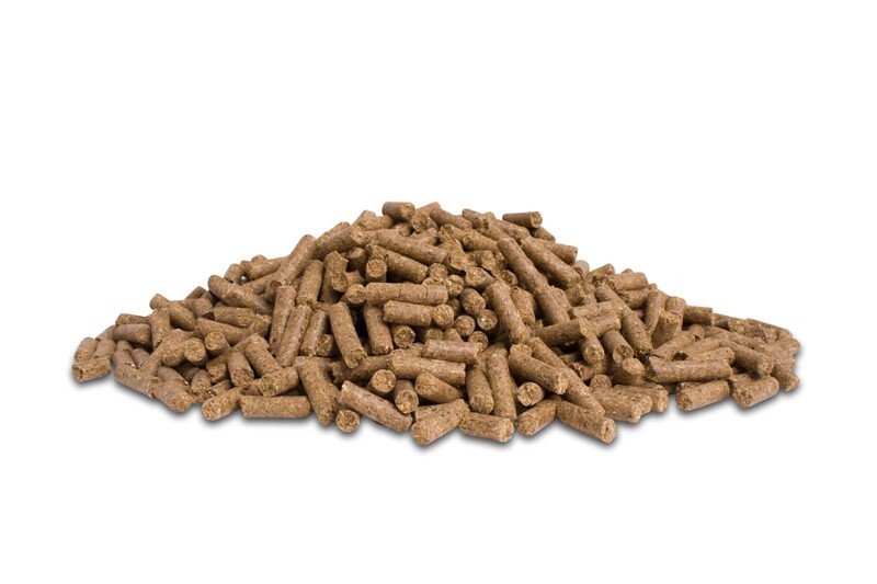 Dodson & Horrell Build Up Cubes 20 kg - pasza dla koni na mięśnie i przyrost masy