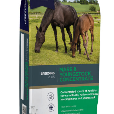 Dodson & Horrell Mare & Young Concentrat - balancer dla koni hodowlanych i młodych na wzrost i laktację