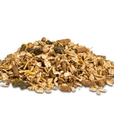 Dodson & Horrell Sixteen Plus Mix 20kg - pasza dla koni starszych na przyrost masy, cushing