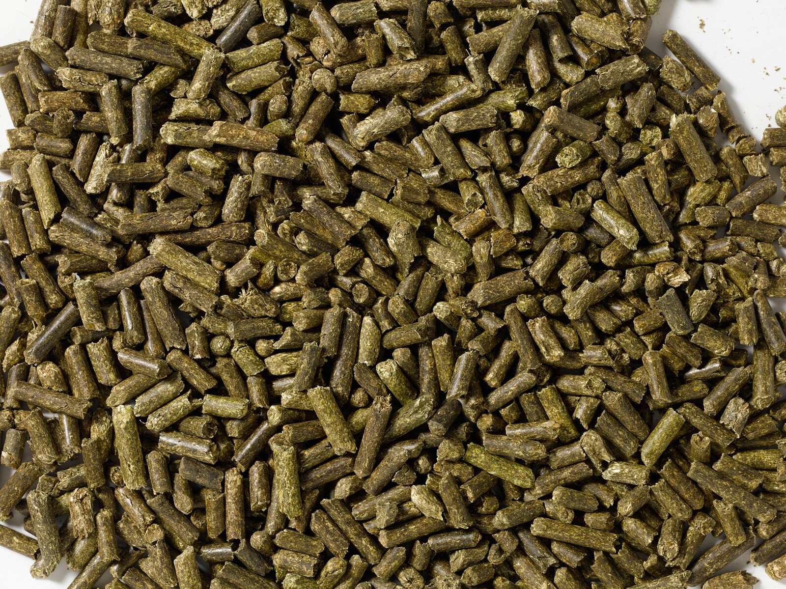 Saracen Alfalfa Pellets 20 kg – Lucerna w granulacie, na wrzody, masę dla koni