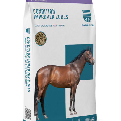 Saracen Condition Improver Cubes 20 kg – pasza na masę dla koni sportowych, chudych