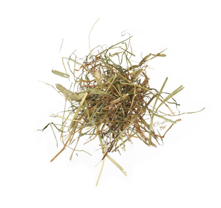 AGROBS Alpenheu 12,5 kg – Odpylone siano z alpejskich łąk dla koni, bogate we włókno, na układ oddechowy, RAO alergie, wolne od kurzu