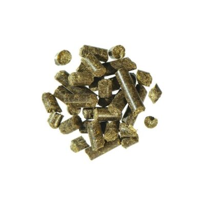 AGROBS AlpenGrün Pellet 20 kg – Sieczka w granulacie z ziołami dla koni, na trawienie i wsparcie żołądka
