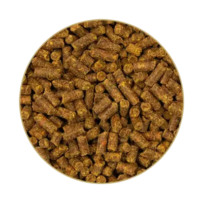 Beta-Carotin-Mare-Y-Mix_FUTTER_WEB St. Hippolyt B-Carotin Mare-Mix 10 kg – Beta-karoten dla koni hodowlanych na płodność, regularne ruje, wsparcie układu rozrodczego klaczy i ogierów