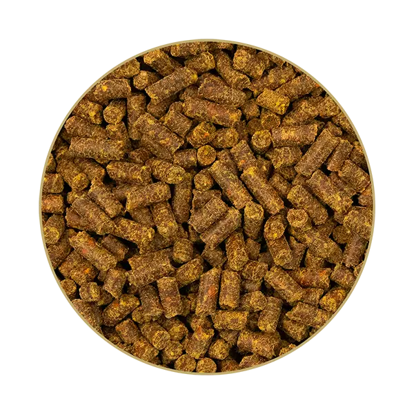 St. Hippolyt B-Carotin Mare-Mix 10 kg – Beta-karoten dla koni hodowlanych na płodność, regularne ruje, wsparcie układu rozrodczego klaczy i ogierów