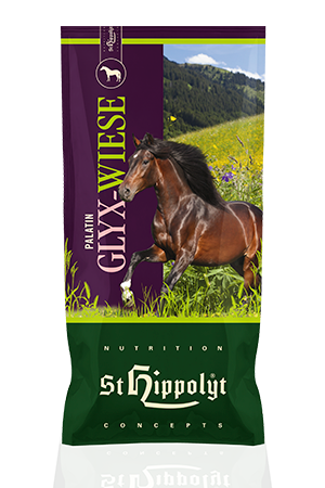 Niskocurowa sieczka dla koni St. Hippolyt Palatin Glyx-Wiese Müsli 15 kg. Wspiera trawienie, poprawia apetyt niejadków i uzupełnia siano słabej jakości.