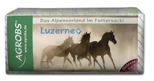 AGROBS Luzerne + 15 kg – kliniczna sieczka z lucerny dla koni na wrzody i wsparcie trawienia, wsparcie w odbudowie masy