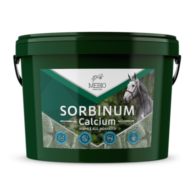MEBIO Calcium Sorbinum 10 kg – Naturalny wapń z alg morskich dla koni na mocne kości, zęby, wrzody i wsparcie żołądka
