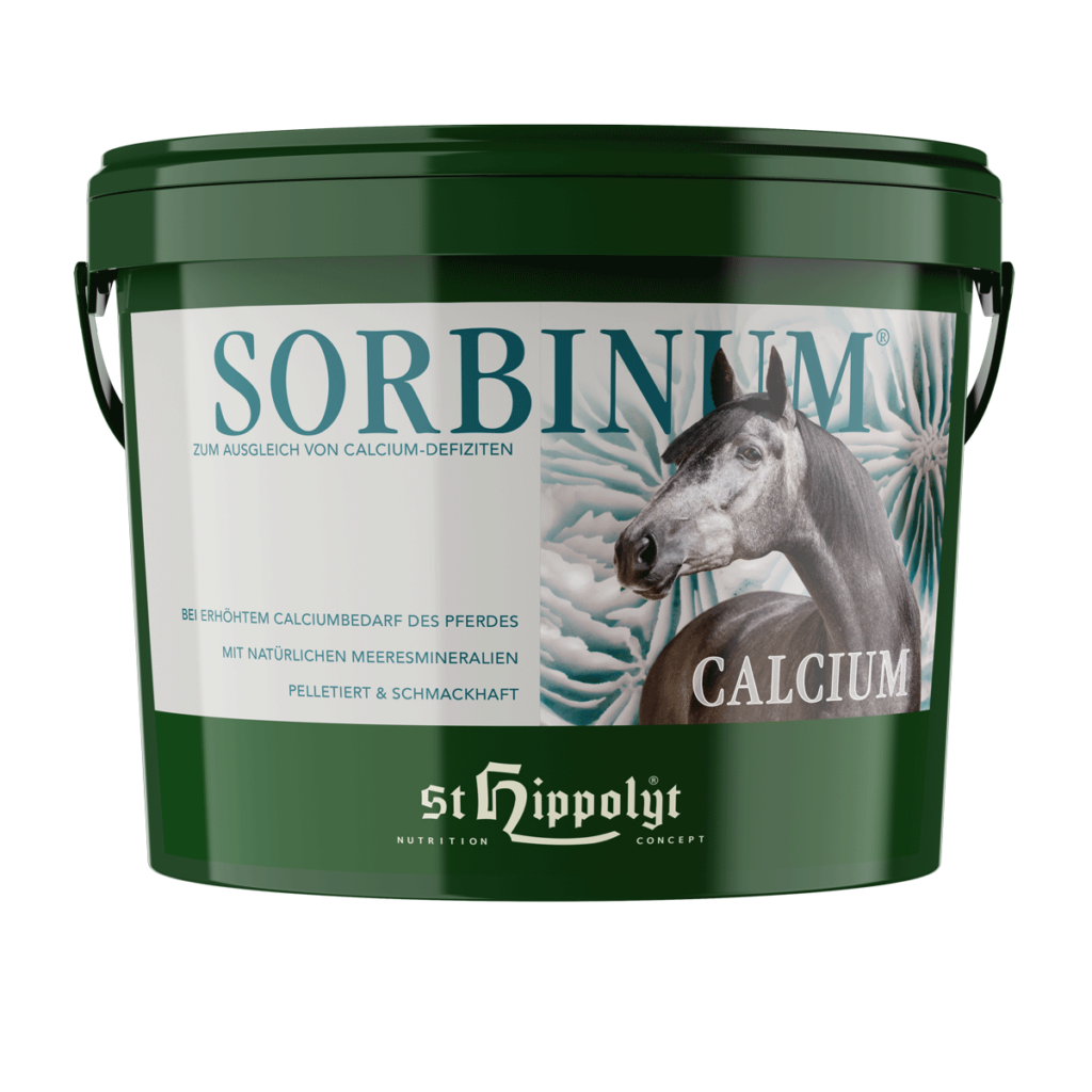 St.Hippolyt Calcium Sorbinum 10 kg – Wapno dla koni z witaminą C na mocne kości, wrzody i ukąszenia owadów, alergie, problemy skórne