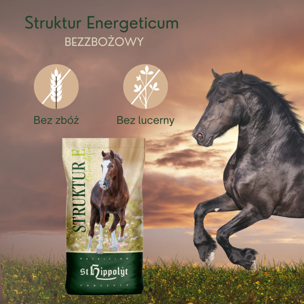 Struktur Energeticum BEZZBOŻOWY 15 kg – Pasza dla koni wrzodowych i wrażliwych, musli na odporność, energię i regenerację