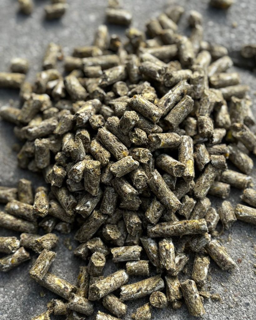 Mebio Sport pellet 20 kg – Granulat, pasza dla koni pracujących na stabilną energię, mięśnie i wsparcie żołądka