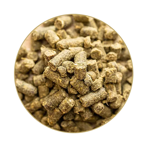 St. Hippolyt Equilizer 1 kg – Suplement na uspokojenie i wyciszenie dla koni nerwowych, stres