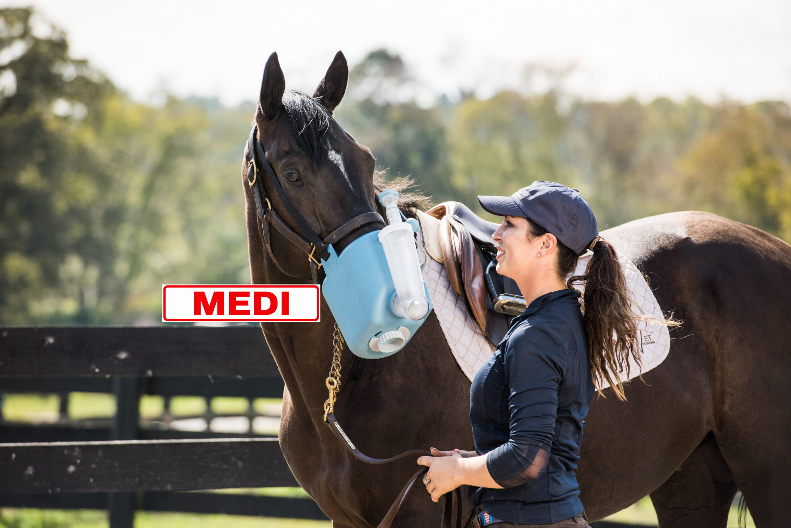 Flexineb® E3 MEDI nebulizator dla konia z maską standardową – kompletny zestaw - obrazek 2