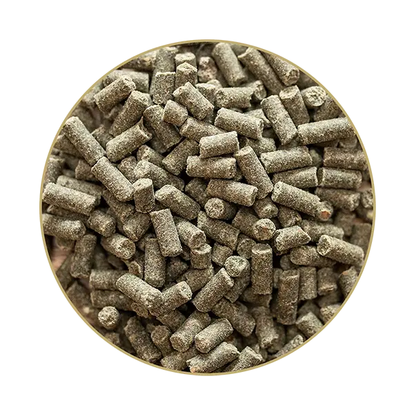 St. Hippolyt Gold Medal 5 kg / 10 kg – Suplement na rozwój masy mięśniowej dla koni, aminokwasy, regeneracja i energia