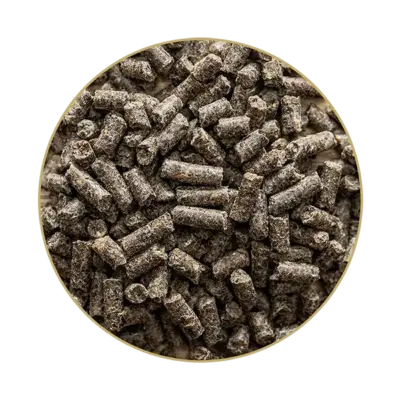 Hippomun®-forte_FUTTER_WEB St. Hippolyt Hippomun 1 kg – Suplement na odporność dla koni, na infekcje, grudę
