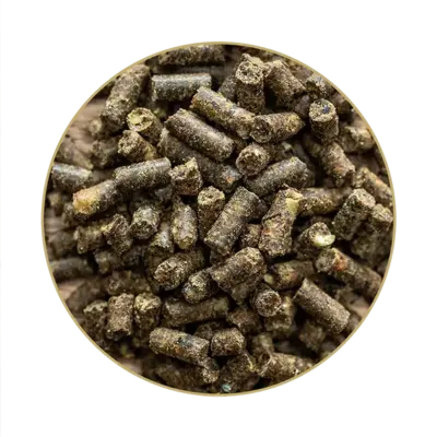 Knoblizem®_FUTTER_WEB St. Hippolyt Knoblizem 3 kg / 10 kg – Czosnek z ziołami dla koni, suplement na odporność, problemy skórne i odstraszanie owadów