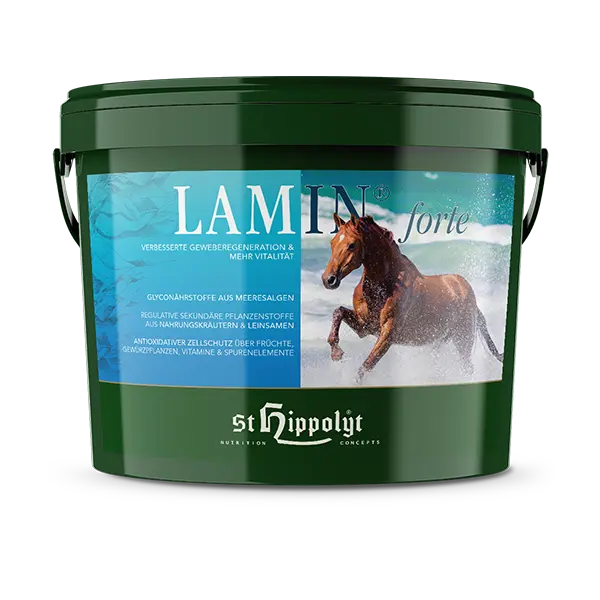 St. Hippolyt Lamin Forte 3 kg – Suplement na odporność i stany zapalne dla koni, wsparcie przy kontuzjach
