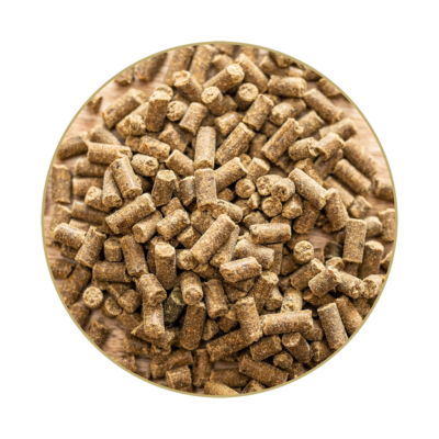 MAGNESIUM-B12-FUTTER-WEB-1024×1024 St. Hippolyt Magnesium B12 1 kg – Suplement z magnezem i witaminą B12 na uspokojenie, stres i koncentrację dla koni