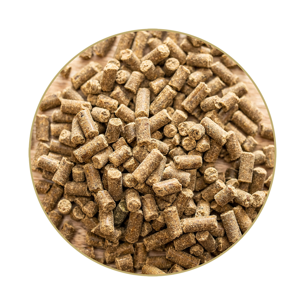 St. Hippolyt Magnesium B12 1 kg – Suplement z magnezem i witaminą B12 na uspokojenie, stres i koncentrację dla koni