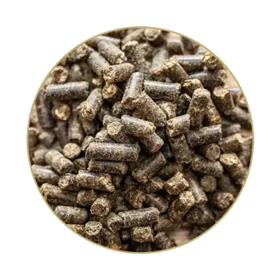 Makor®_FUTTER_WEB St. Hippolyt Makor 1 kg – Suplement dla koni na uspokojenie i stres, ochrona mięśni