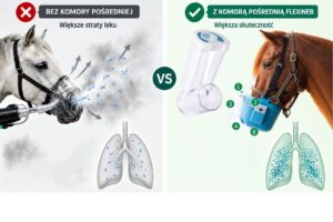 Nebulizacja koni komora pośrednia